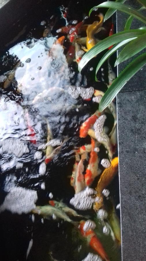 Khach San Hiep Yen Hotel ตวีฮหว่า ภายนอก รูปภาพ