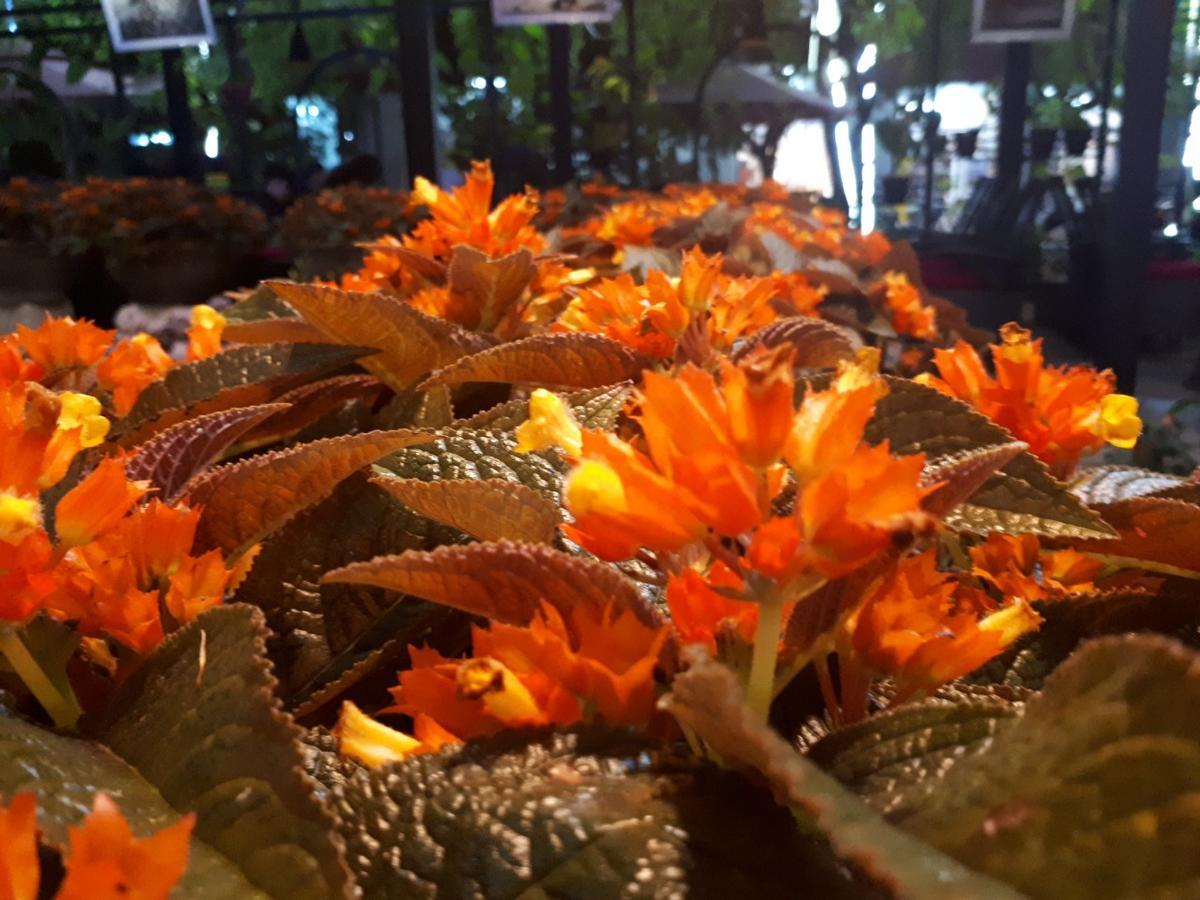 Khach San Hiep Yen Hotel ตวีฮหว่า ภายนอก รูปภาพ
